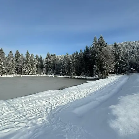 Le Refuge Lejlighed La Bresse