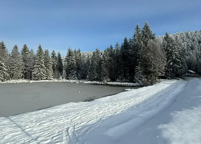 Le Refuge Apartmán La Bresse